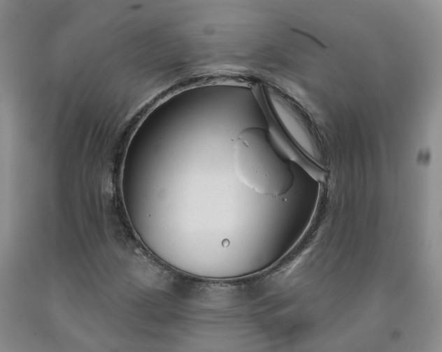 X0000092011209200709201523