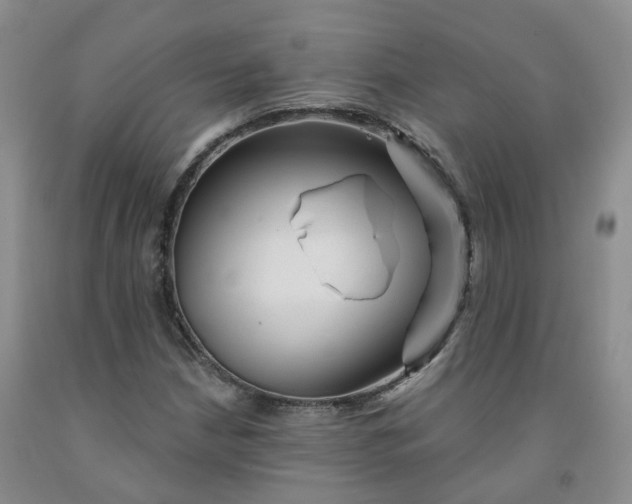 X0000092011210200709201523