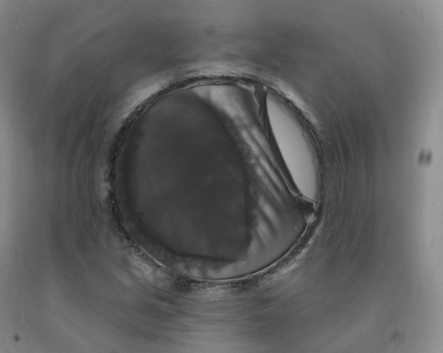 X0000092011213200709201523