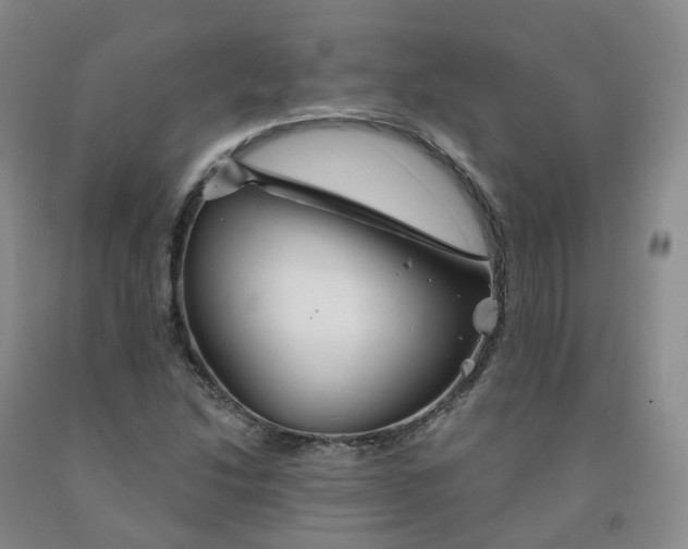 X0000092011214200709201523