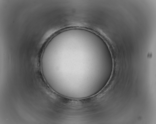 X0000092011215200709201523