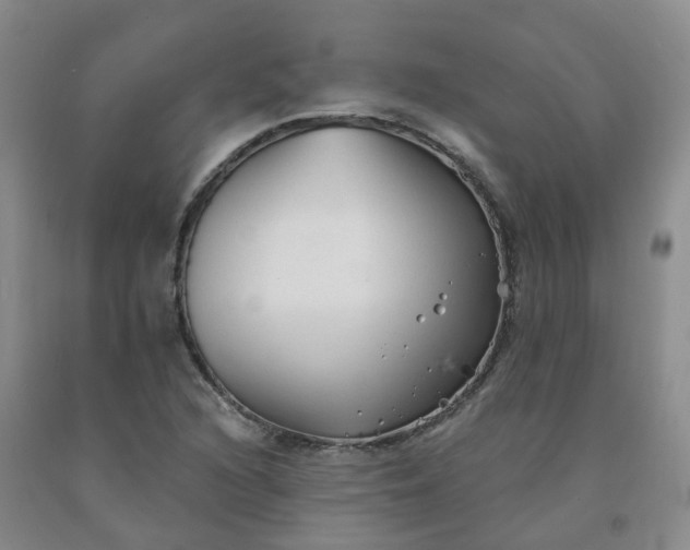 X0000092011216200709201523