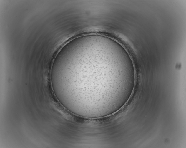 X0000092011217200709201523