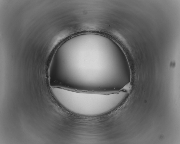 X0000092011218200709201523