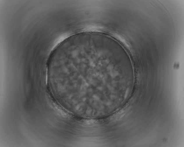 X0000092011219200709201523