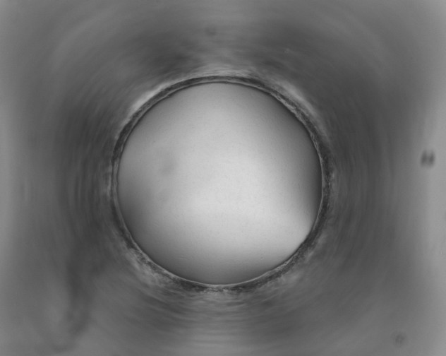 X0000092011220200709201523