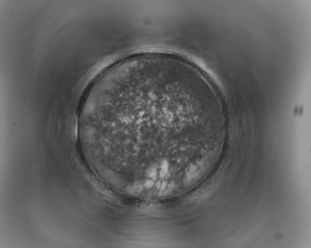X0000092011221200709201523