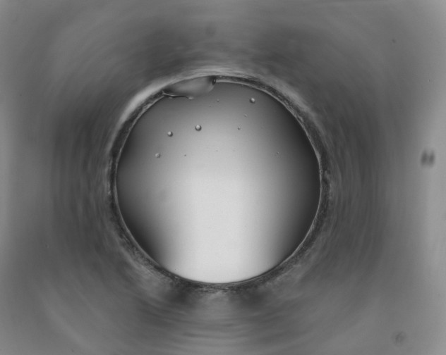 X0000092011222200709201523