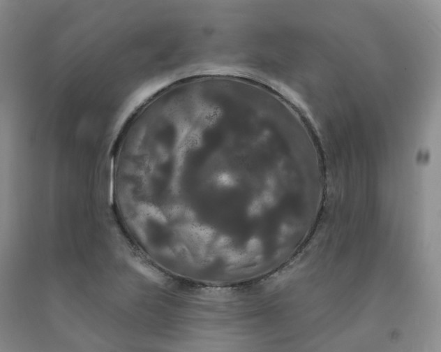 X0000092011223200709201523