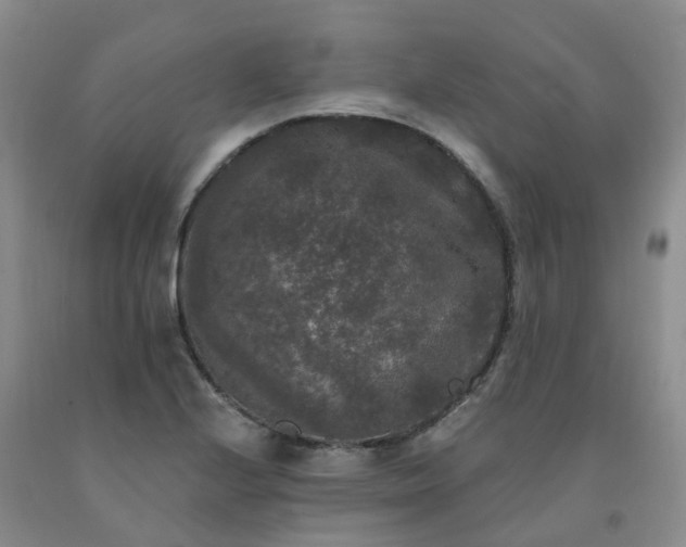 X0000092011224200709201523