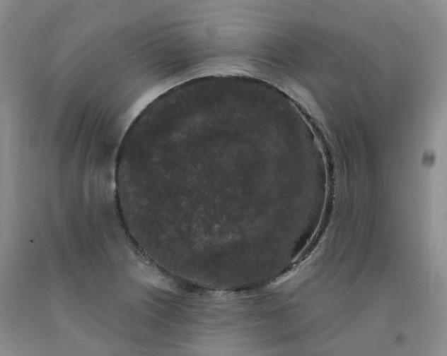 X0000092011226200709201523
