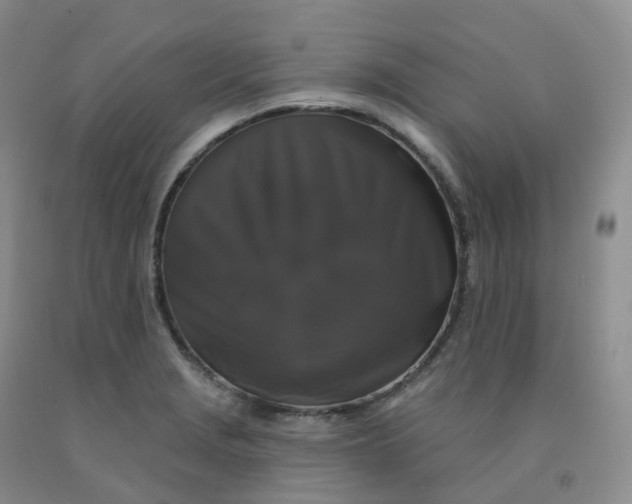 X0000092011229200709201523