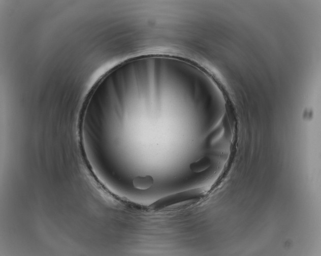 X0000092011230200709201523