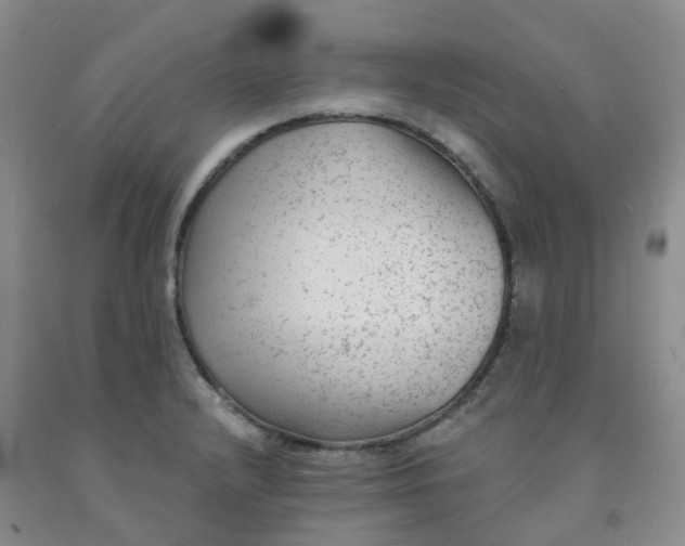X0000092011232200709201523