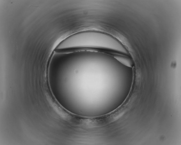 X0000092011234200709201523