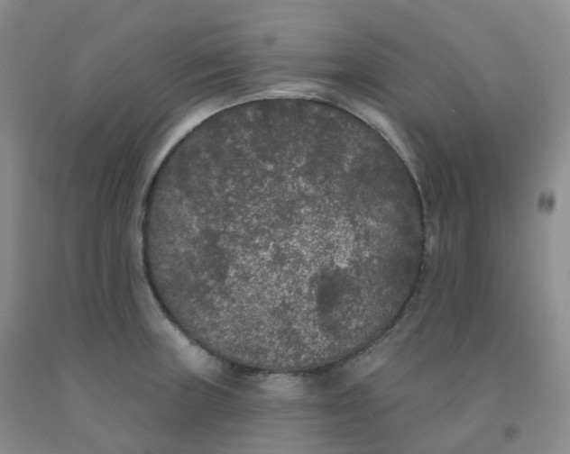 X0000092011235200709201523
