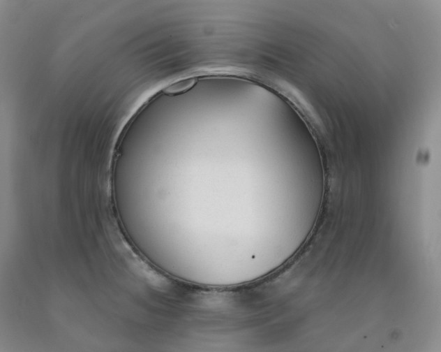X0000092011236200709201523