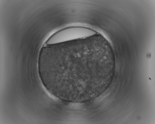 X0000092011237200709201523