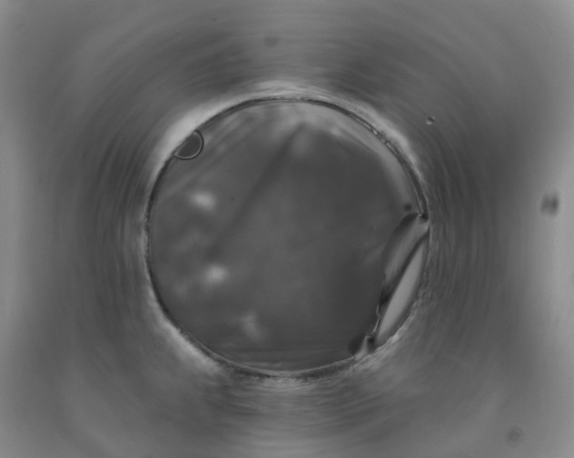 X0000092011239200709201523