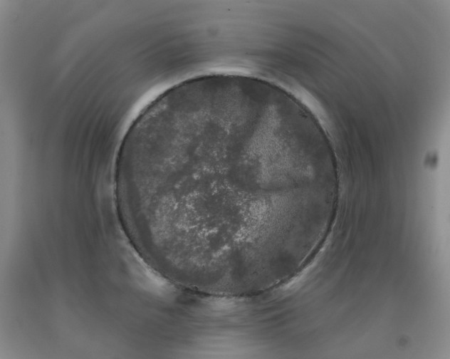 X0000092011240200709201523