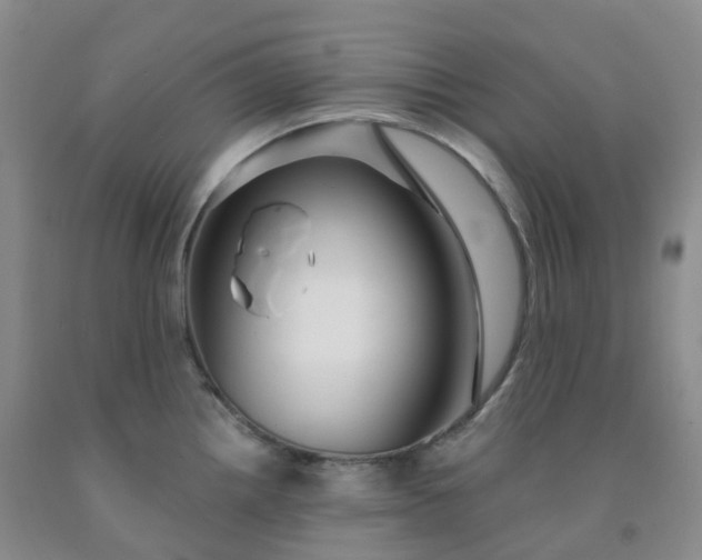 X0000092011242200709201523