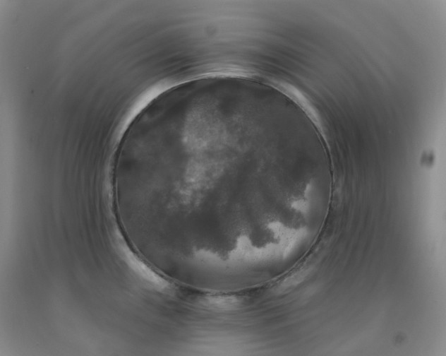 X0000092011243200709201523