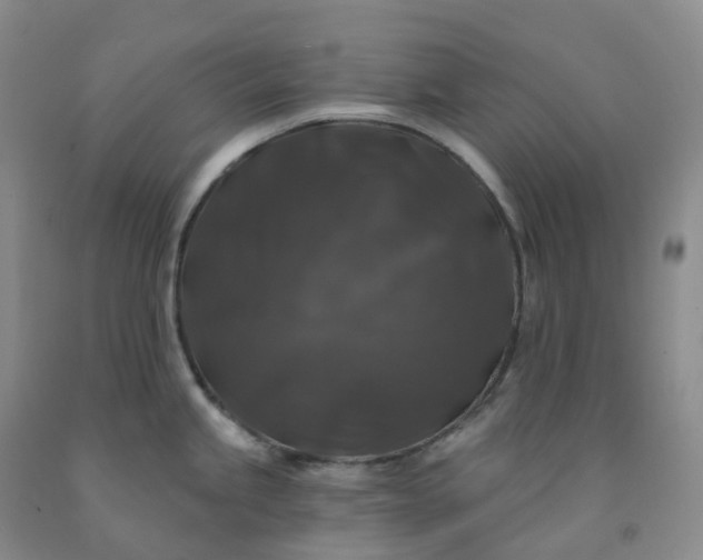 X0000092011245200709201523