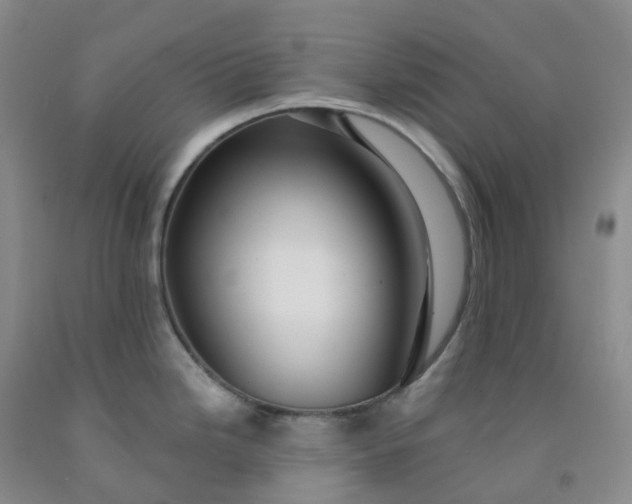 X0000092011246200709201523