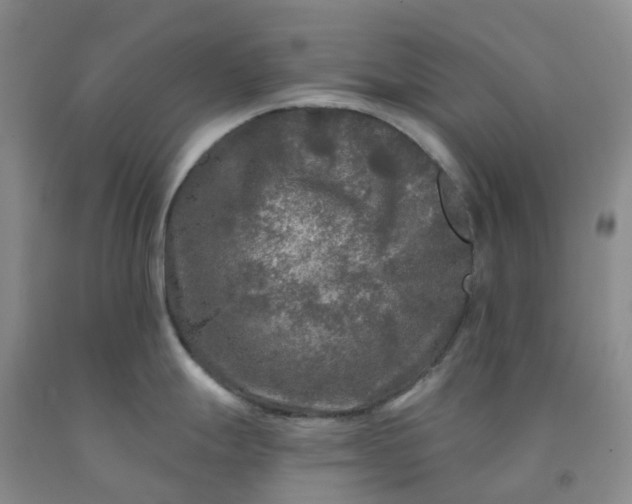 X0000092011247200709201523