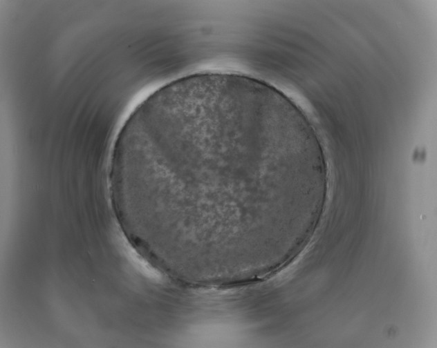 X0000092011248200709201523