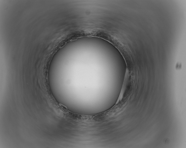 X0000092011249200709201523