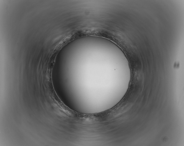 X0000092011250200709201523