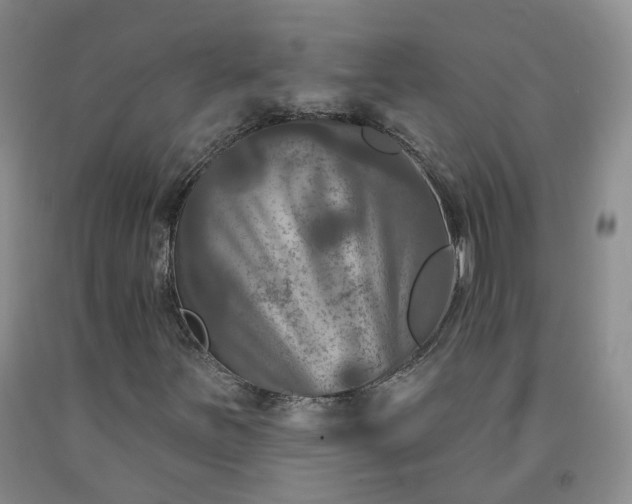 X0000092011251200709201523