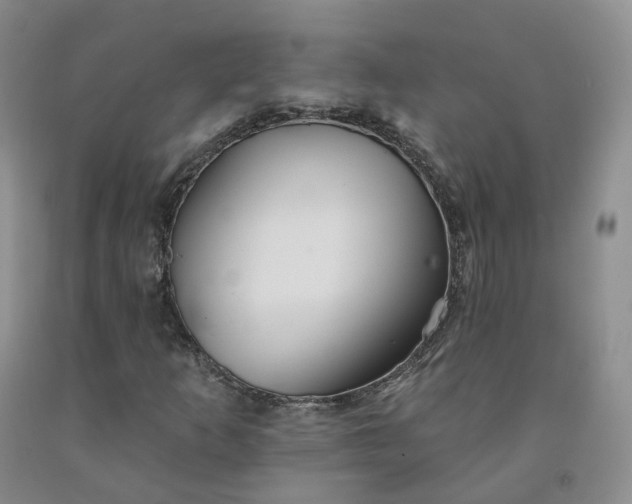 X0000092011253200709201522