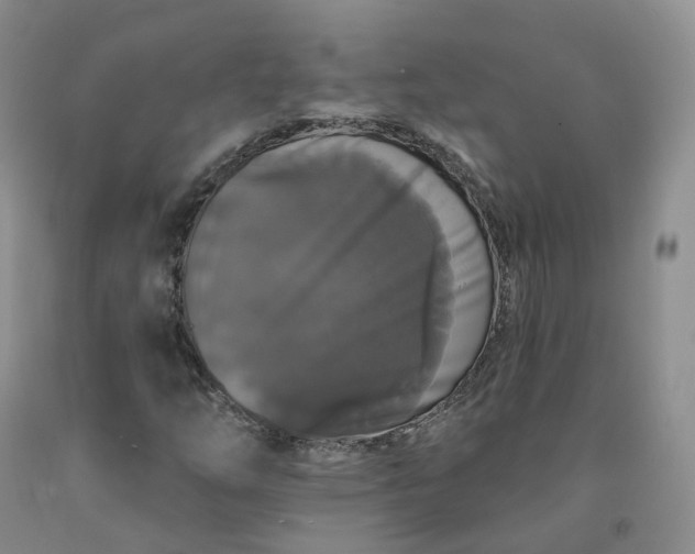 X0000092011254200709201522
