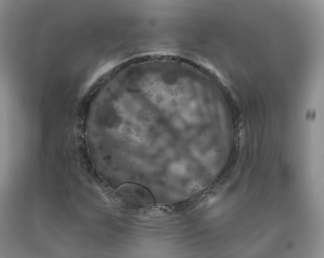X0000092011255200709201522