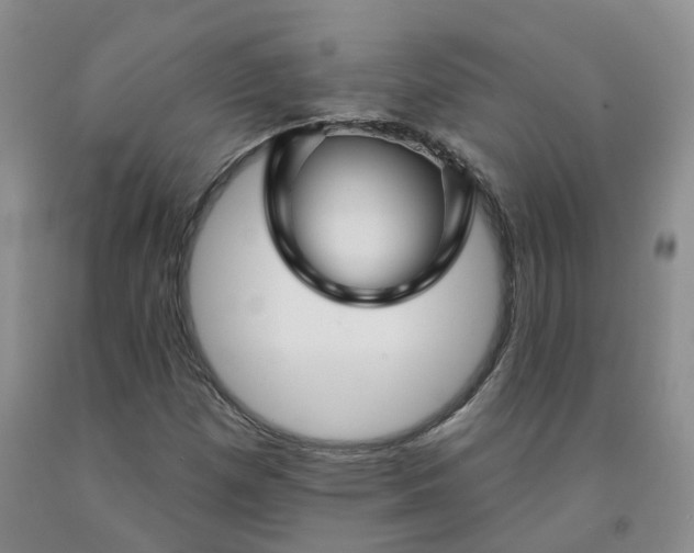 X0000092011257200709201522