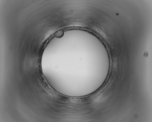 X0000092011258200709201522