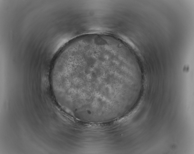X0000092011259200709201522