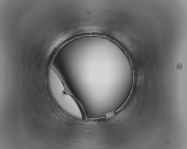 X0000092011261200709201522