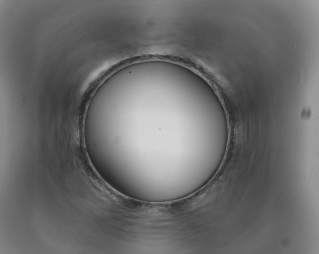 X0000092011262200709201522