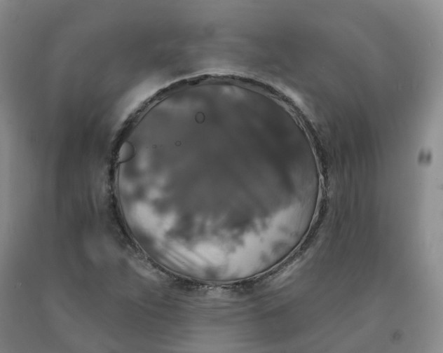 X0000092011263200709201522