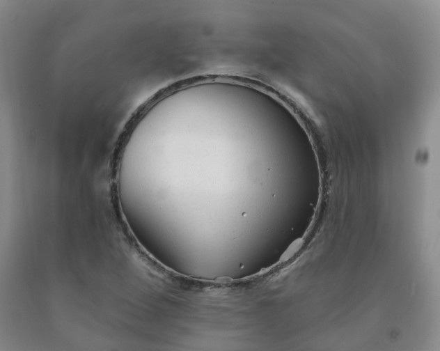 X0000092011264200709201522