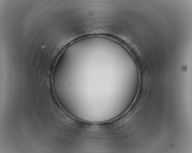 X0000092011265200709201522