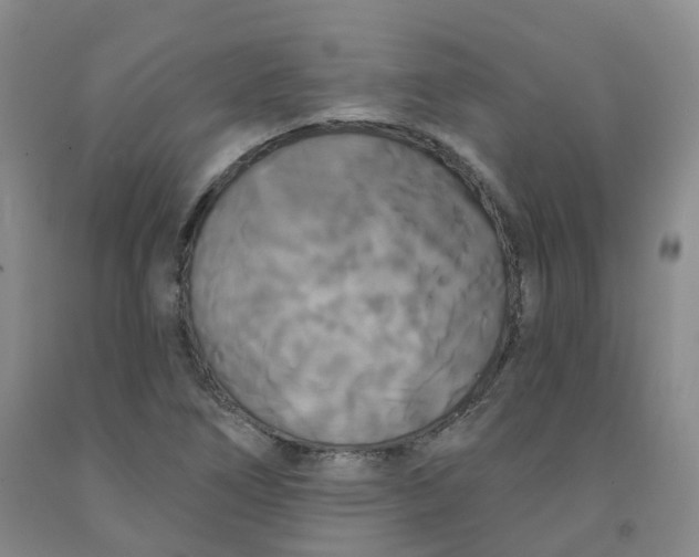 X0000092011266200709201522
