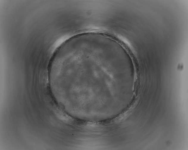 X0000092011267200709201522