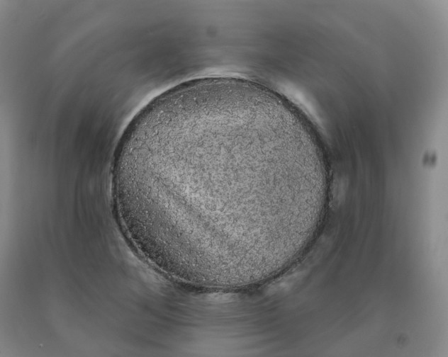 X0000092011268200709201522