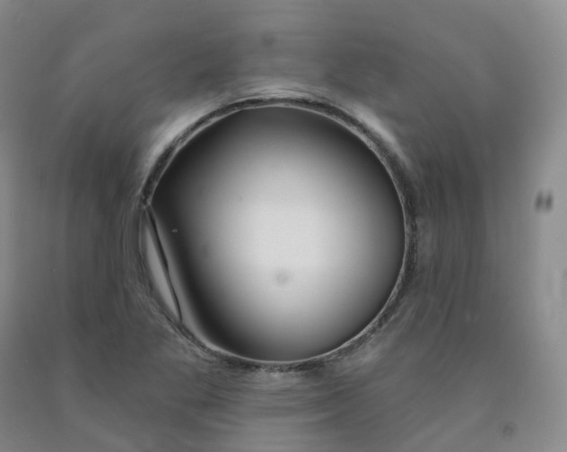 X0000092011269200709201522