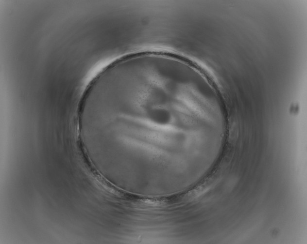 X0000092011271200709201522