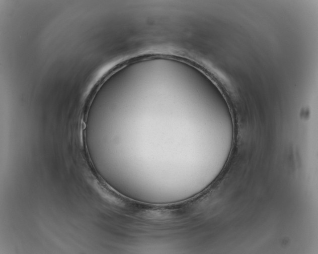 X0000092011272200709201522